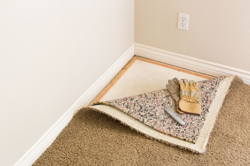 Carpet Foam Replacement in Littleton, CO