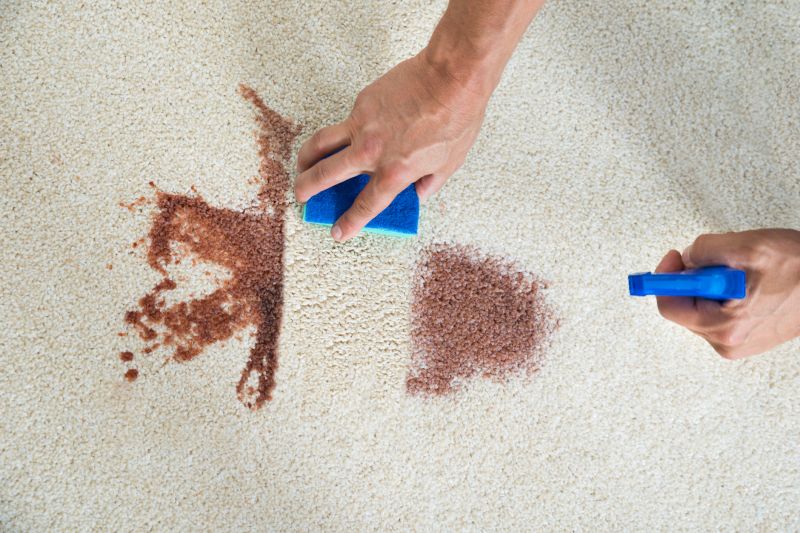 Carpet Pet Stain Removal