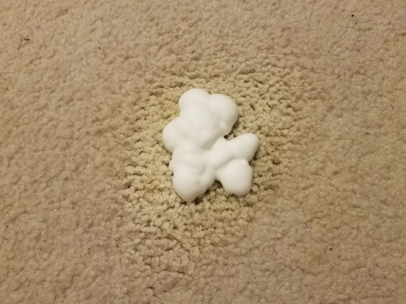 Carpet Pet Stain Removal