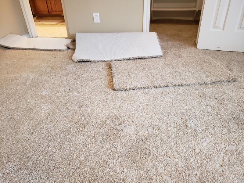 Carpet Repair Service in Kansas City, KS