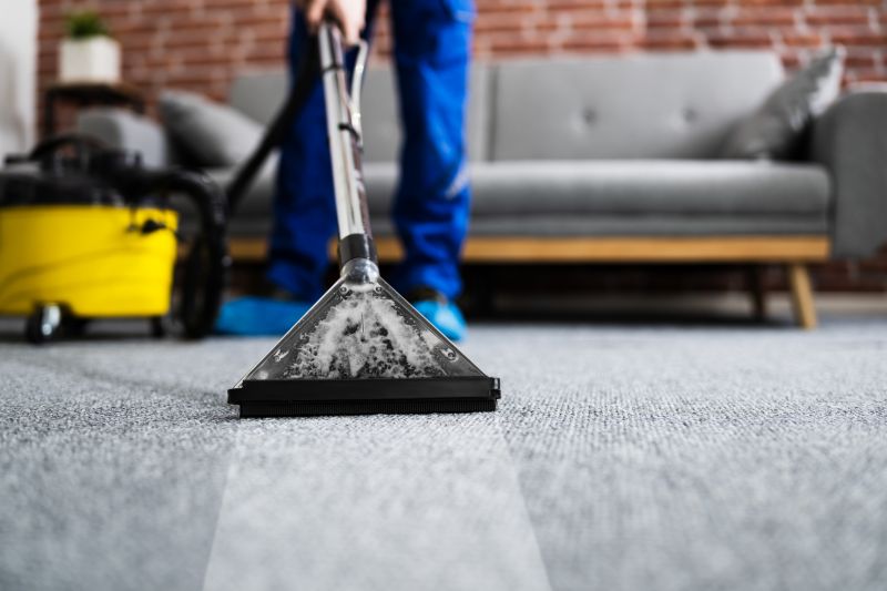 How Often Carpets Should Be Professionally Cleaned