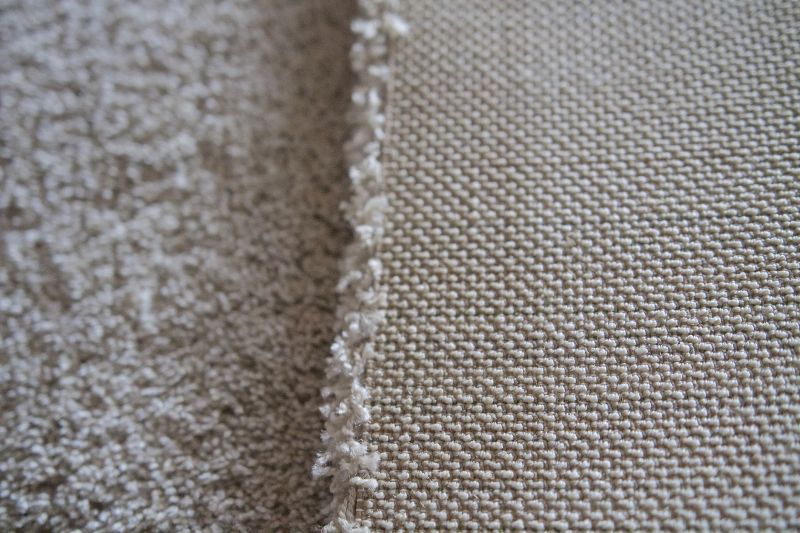 Pet Stain Carpet Repair in Olathe, KS