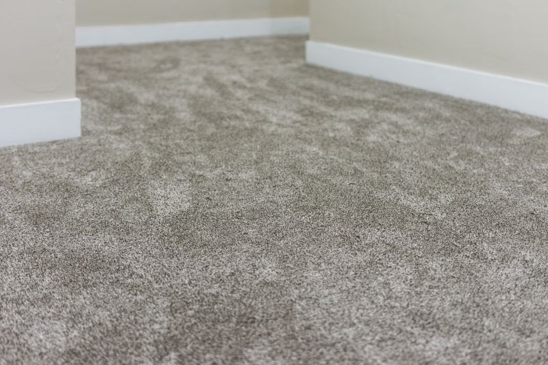 Removing Stains And Odors From Carpets And Rugs