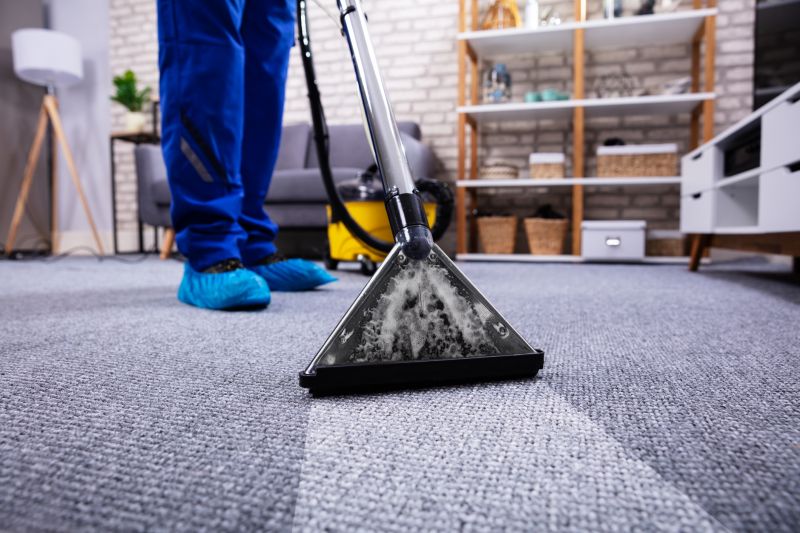 Steam Cleaning Vs Dry Carpet Cleaning Explained