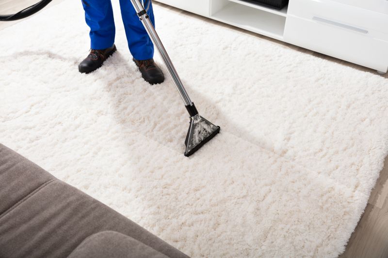 Steam Cleaning Vs Dry Carpet Cleaning Explained