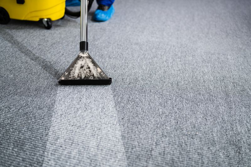Steam Cleaning Vs Dry Carpet Cleaning Explained